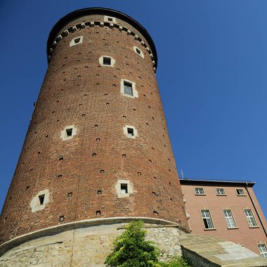 Krakow, Polonya - 1 Ağustos 2017: Wawel hill Katedrali ve Kalesi ile. Wawel Kalesi karmaşık bir tarihi mimari antik kentin merkezidir.