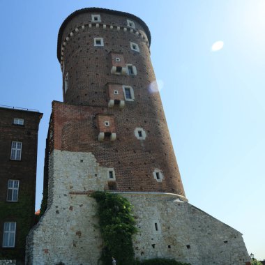 Krakow, Polonya - 1 Ağustos 2017: Wawel hill Katedrali ve Kalesi ile. Wawel Kalesi karmaşık bir tarihi mimari antik kentin merkezidir.