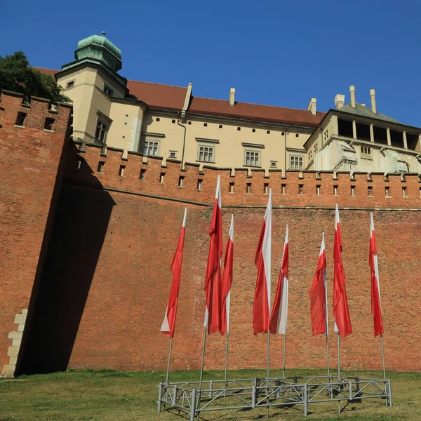 Krakau Polen August 2017 Wawel Hügel Mit Kathedrale Und Burg — Stockfoto