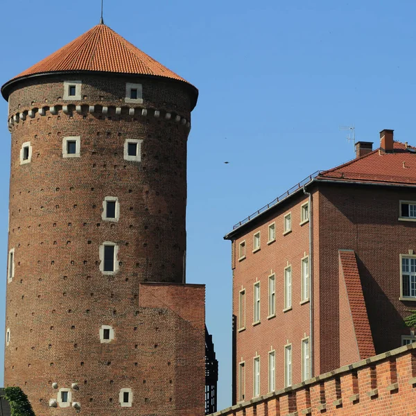 Krakow Polonia Agosto 2017 Collina Wawel Con Cattedrale Castello Wawel — Foto Stock