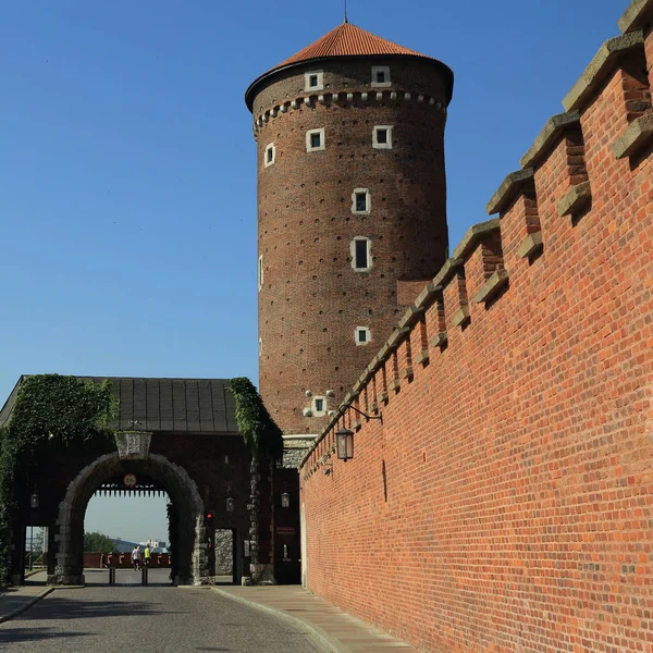 Krakau Polen August 2017 Wawel Hügel Mit Kathedrale Und Burg — Stockfoto