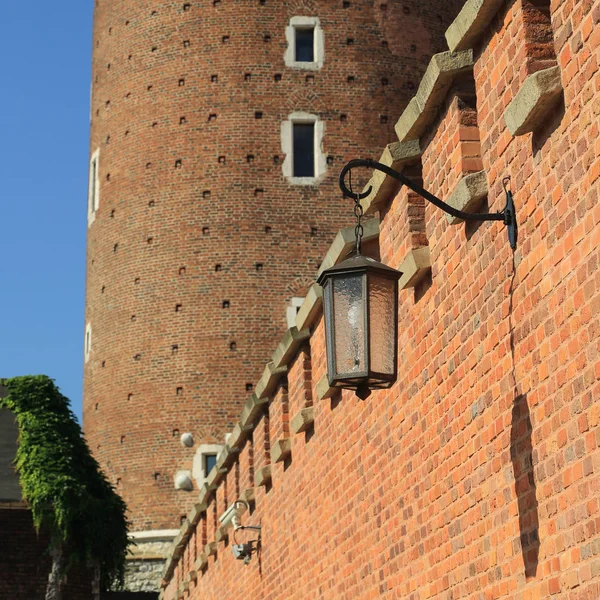 Krakow Pologne 1Er Août 2017 Colline Wawel Avec Cathédrale Château — Photo