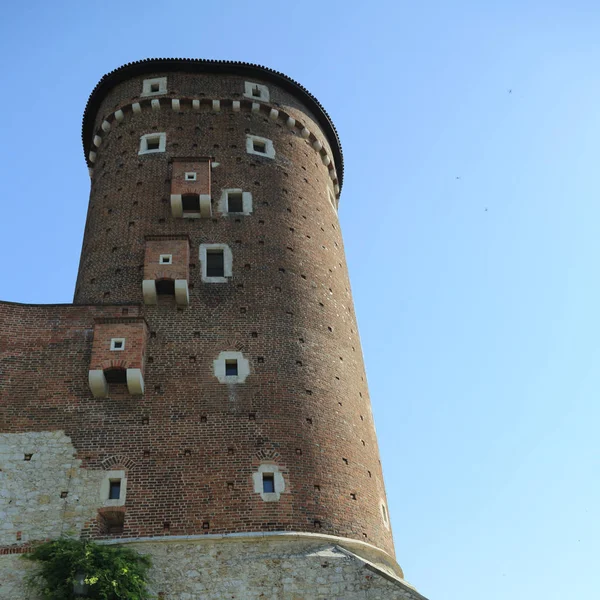 Krakow Pologne 1Er Août 2017 Colline Wawel Avec Cathédrale Château — Photo