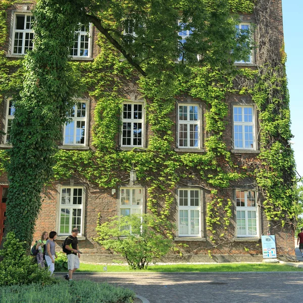 Krakow Polónia Agosto 2017 Wawel Hill Com Catedral Castelo Complexo — Fotografia de Stock