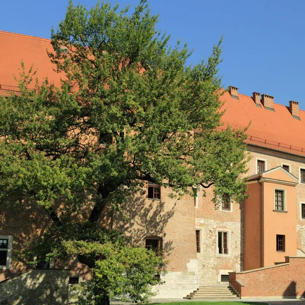 Krakow Polen Den Augusti 2017 Wawel Kullen Med Domkyrkan Och — Stockfoto