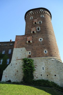 Krakow, Polonya - 1 Ağustos 2017: Wawel hill Katedrali ve Kalesi ile. Wawel Kalesi karmaşık bir tarihi mimari antik kentin merkezidir.