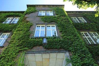 Krakow, Polonya - 1 Ağustos 2017: Wawel hill Katedrali ve Kalesi ile. Wawel Kalesi karmaşık bir tarihi mimari antik kentin merkezidir.