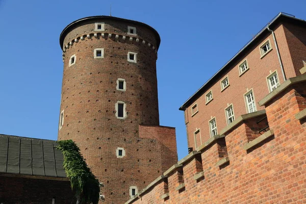 Krakow Pologne 1Er Août 2017 Colline Wawel Avec Cathédrale Château — Photo