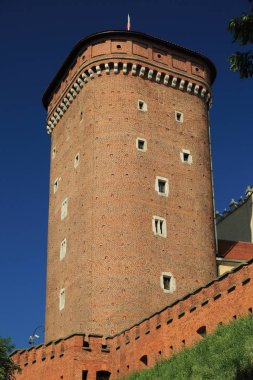 Krakow, Polonya - 1 Ağustos 2017: Wawel hill Katedrali ve Kalesi ile. Wawel Kalesi karmaşık bir tarihi mimari antik kentin merkezidir.