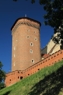 Krakow, Polonya - 1 Ağustos 2017: Wawel hill Katedrali ve Kalesi ile. Wawel Kalesi karmaşık bir tarihi mimari antik kentin merkezidir.