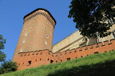 Krakow, Polonya - 1 Ağustos 2017: Wawel hill Katedrali ve Kalesi ile. Wawel Kalesi karmaşık bir tarihi mimari antik kentin merkezidir.