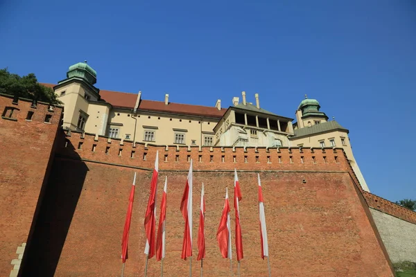 Krakow Pologne 1Er Août 2017 Colline Wawel Avec Cathédrale Château — Photo