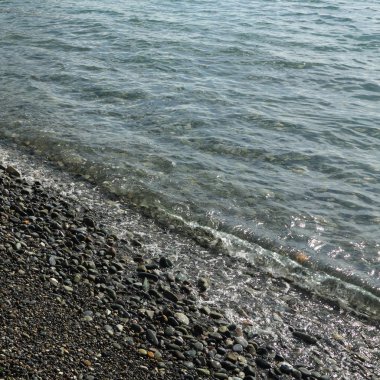 Sahil üzerinden Karadeniz Sochi, Rusya Federasyonu. Seçilen odak.