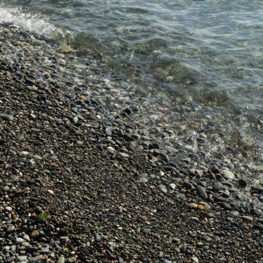 Sahil üzerinden Karadeniz Sochi, Rusya Federasyonu. Seçilen odak.