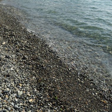 Sahil üzerinden Karadeniz Sochi, Rusya Federasyonu. Seçilen odak.