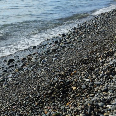 Sahil üzerinden Karadeniz Sochi, Rusya Federasyonu. Seçilen odak.