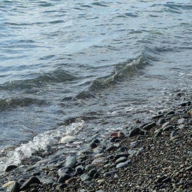 Sahil üzerinden Karadeniz Sochi, Rusya Federasyonu. Seçilen odak.