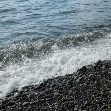 Sahil üzerinden Karadeniz Sochi, Rusya Federasyonu. Seçilen odak.