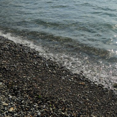 Sahil üzerinden Karadeniz Sochi, Rusya Federasyonu. Seçilen odak.