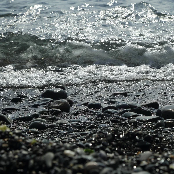 Litoral Sobre Mar Negro Sochi Federação Russa Foco Selecionado — Fotografia de Stock