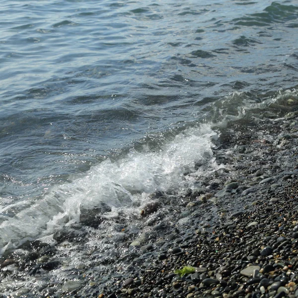 Litoral Sobre Mar Negro Sochi Federação Russa Foco Selecionado — Fotografia de Stock