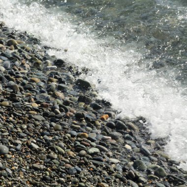 Sahil üzerinden Karadeniz Sochi, Rusya Federasyonu. Seçilen odak.