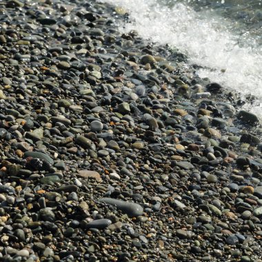 Sahil üzerinden Karadeniz Sochi, Rusya Federasyonu. Seçilen odak.