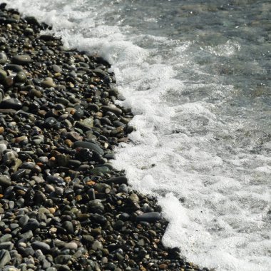 Sahil üzerinden Karadeniz Sochi, Rusya Federasyonu. Seçilen odak.