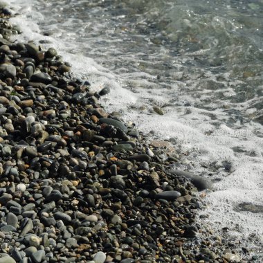 Sahil üzerinden Karadeniz Sochi, Rusya Federasyonu. Seçilen odak.