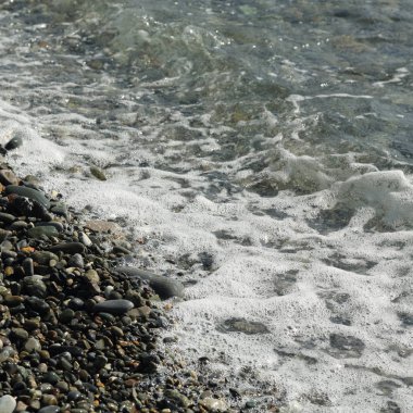 Sahil üzerinden Karadeniz Sochi, Rusya Federasyonu. Seçilen odak.