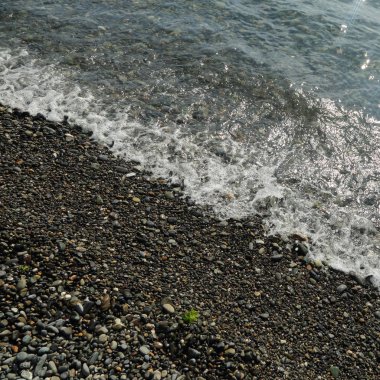 Sahil üzerinden Karadeniz Sochi, Rusya Federasyonu. Seçilen odak.