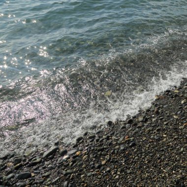 Sahil üzerinden Karadeniz Sochi, Rusya Federasyonu. Seçilen odak.