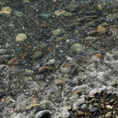 Sahil üzerinden Karadeniz Sochi, Rusya Federasyonu. Seçilen odak.