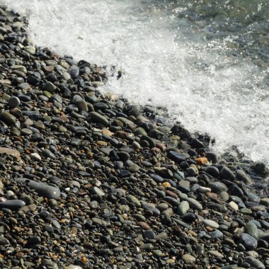 Sahil üzerinden Karadeniz Sochi, Rusya Federasyonu. Seçilen odak.