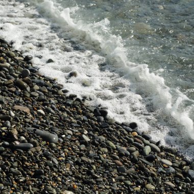 Sahil üzerinden Karadeniz Sochi, Rusya Federasyonu. Seçilen odak.