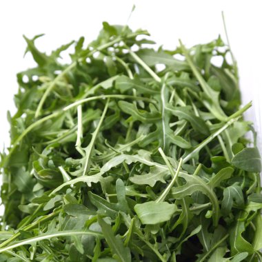 Organik yeşil ve taze roka (rucola veya rukola)