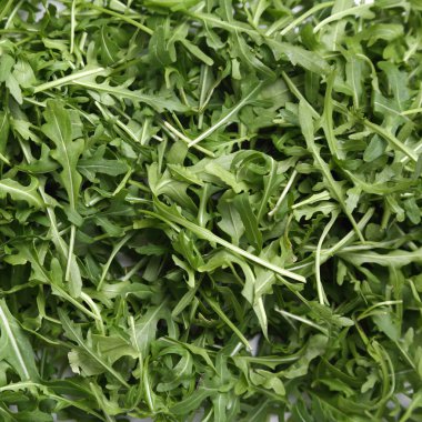 Organik yeşil ve taze roka (rucola veya rukola)