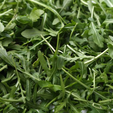 Organik yeşil ve taze roka (rucola veya rukola)