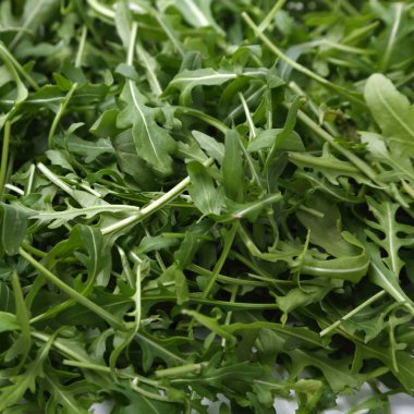 Organik yeşil ve taze roka (rucola veya rukola)