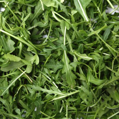 Organik yeşil ve taze roka (rucola veya rukola)