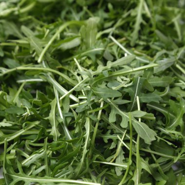 Organik yeşil ve taze roka (rucola veya rukola)