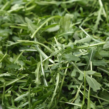 Organik yeşil ve taze roka (rucola veya rukola)