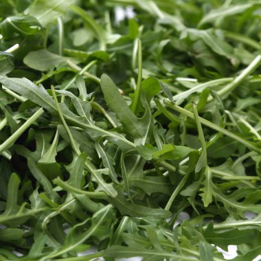 Organik yeşil ve taze roka (rucola veya rukola)