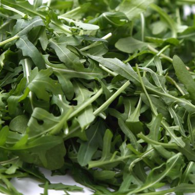 Organik yeşil ve taze roka (rucola veya rukola)