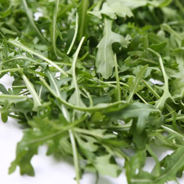 Organik yeşil ve taze roka (rucola veya rukola)