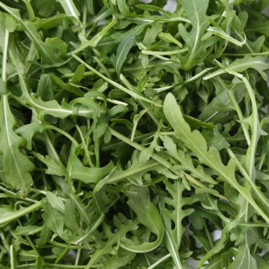 Organik yeşil ve taze roka (rucola veya rukola)