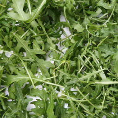 Organik yeşil ve taze roka (rucola veya rukola)