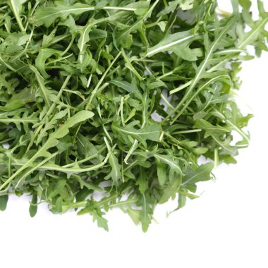 Organik yeşil ve taze roka (rucola veya rukola)