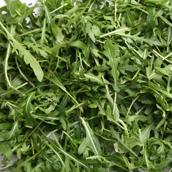 Arugula Verde Fresca Orgânica Rucola Rukola — Fotografia de Stock