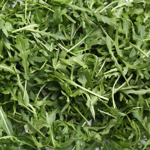 Arugula Verde Fresca Orgânica Rucola Rukola — Fotografia de Stock